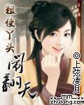 粗使丫头闹翻天（全本）