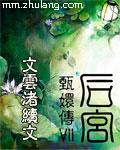 后宫——甄嬛传7（全本）