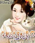 拉个王子回现代：穿越时空我爱你