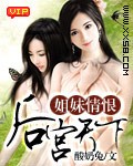 姐妹情恨：后宫天下（完本）