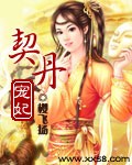 契丹宠妃（全本）