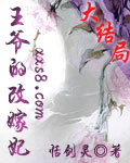 王爷的改嫁妃（完本）