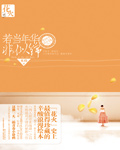 若当年华非似锦