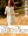 遥絮纷飞