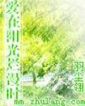 爱在阳光烂漫时