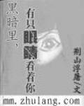 黑暗里，有只眼睛看着你