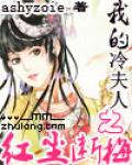 我的冷夫人之红尘断梅
