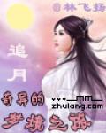 奇异的梦境之旅:追月