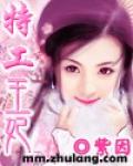 特工王妃