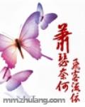 萧瑟奈何