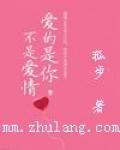 《爱的是你，不是爱情》