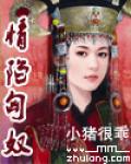 情陷匈奴