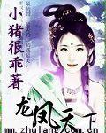 龙凤天下（大结局）